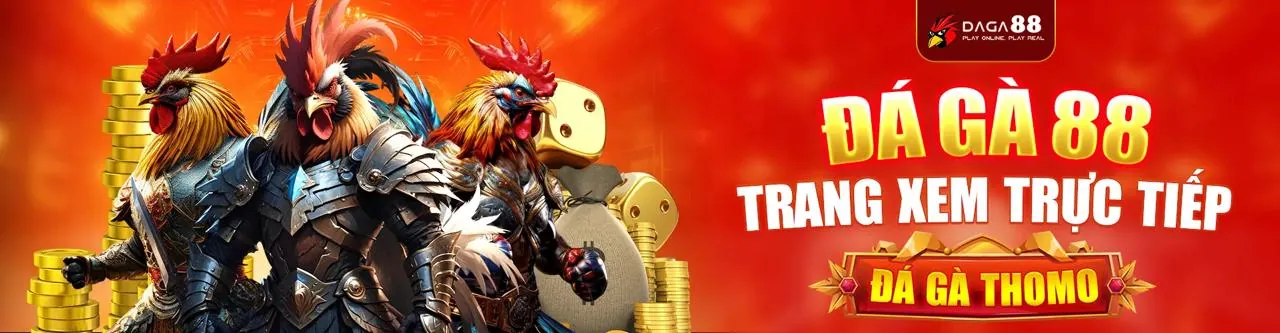 Hình ảnh chính sách quyền riêng tư của sf88 win